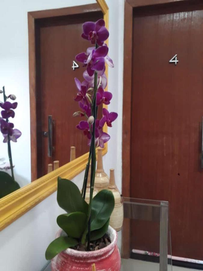 마카에 Jardins Granja Dos Cavaleiros 아파트 외부 사진